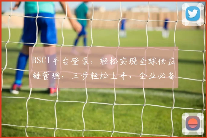 BSCI平台登录，轻松实现全球供应链管理，三步轻松上手，企业必备