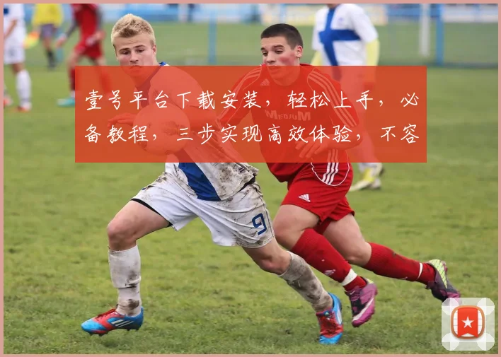 壹号平台下载安装，轻松上手，必备教程，三步实现高效体验，不容错过，快来试试