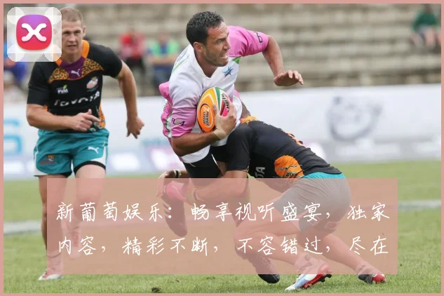 新葡萄娱乐：畅享视听盛宴，独家内容，精彩不断，不容错过，尽在新葡萄娱乐平台