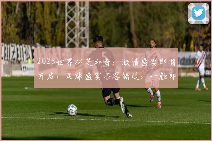 2026世界杯芝加哥，激情盛宴即将开启，足球盛宴不容错过，一触即发